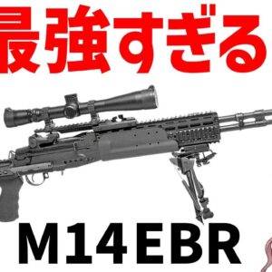 【銃解説】イラク戦争で大活躍したM14、長距離狙撃でキル数稼ぎまくったスナイパーライフル