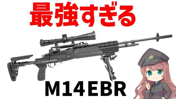 【銃解説】イラク戦争で大活躍したM14、長距離狙撃でキル数稼ぎまくったスナイパーライフル