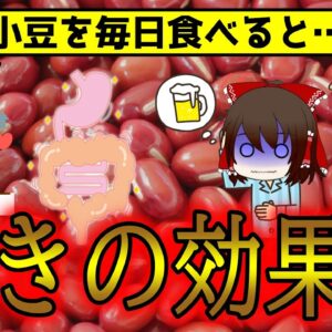 あずきを毎日食べた人の体の変化がやばい！男性にも！抗酸化物質は赤ワイン以上【ゆっくり解説】
