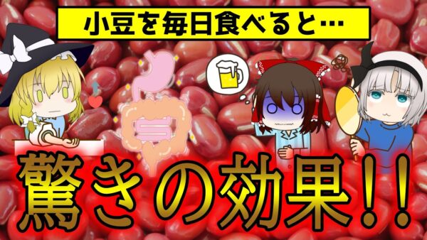 あずきを毎日食べた人の体の変化がやばい！男性にも！抗酸化物質は赤ワイン以上【ゆっくり解説】