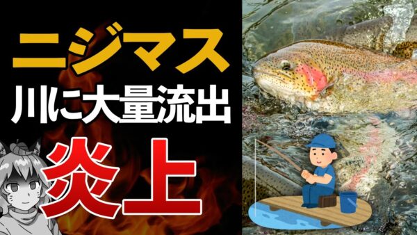 【炎上】管理釣り場のニジマス、まさかの増水で長良川へ流出してしまう…