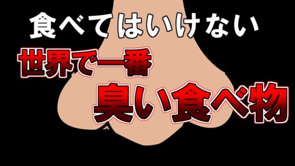 【ゆっくり解説】興味本位で食べないでください。世界で一番臭い食べ物