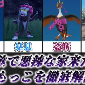 【ゆっくり解説】殺人疑惑がある強欲な盗賊ポケモン ともっこを徹底解説【ポケモン】