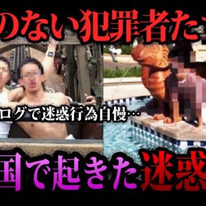 【ゆっくり解説】絶対に真似しないでください。ディズニーで起きた迷惑行為５選