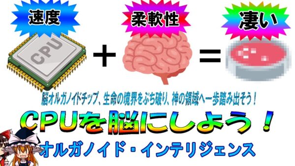 【ゆっくり解説】脳みそ最強。オルガノイド・インテリジェンスについて語るぜ！