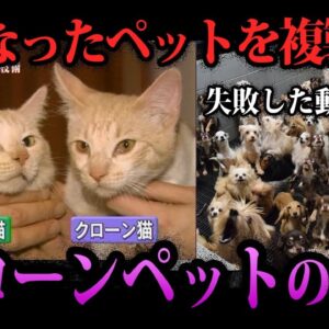 【ゆっくり解説】命を冒涜するビジネス。クローンペットビジネスの闇