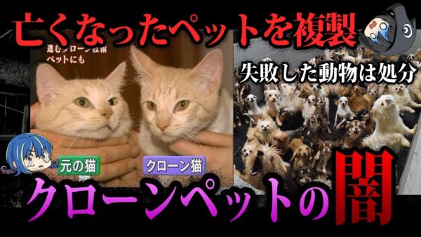 【ゆっくり解説】命を冒涜するビジネス。クローンペットビジネスの闇