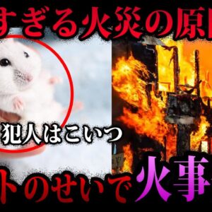 【ゆっくり解説】絶対に観ろ！意外すぎる火災の原因５選