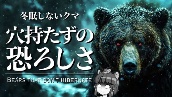 【伝説】冬眠しない凶暴化グマ「穴持たず」はなぜ生まれるのか？