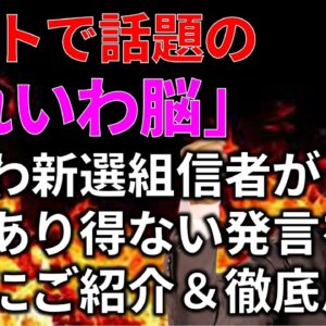 【ゆっくり解説】れいわ新選組の信者になると、こんなヤバい発言をしてしまう模様…