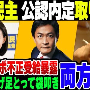 国民民主党、生活保護不正受給疑惑のあった元ラウンジ嬢の公認候補内定を撤回。事象著述家がバカ理論を展開してそうツッコミされる事態に【ゆっくり解説】