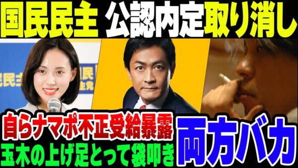 国民民主党、生活保護不正受給疑惑のあった元ラウンジ嬢の公認候補内定を撤回。事象著述家がバカ理論を展開してそうツッコミされる事態に【ゆっくり解説】