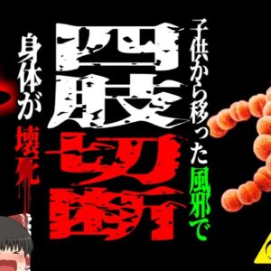 【2017年】「風邪だと思った」子供の風邪が原因で手足が真っ黒になり 切断を余儀なくされた父『劇症型溶血性レンサ球菌感染症』【ゆっくり解説】