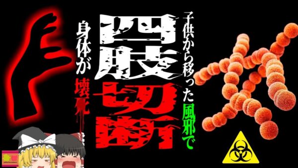 【2017年】「風邪だと思った」子供の風邪が原因で手足が真っ黒になり 切断を余儀なくされた父『劇症型溶血性レンサ球菌感染症』【ゆっくり解説】