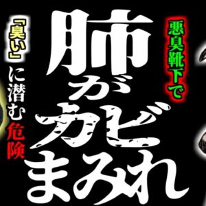 【2018年】”靴下の臭い”で命の危険 肺にカビが生える奇病 「肺真菌症」に罹った男性の妙なクセ【ゆっくり解説】
