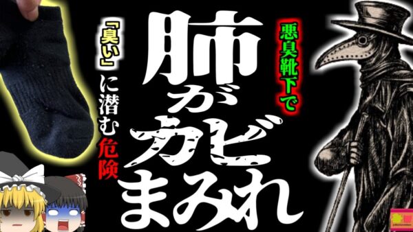 【2018年】”靴下の臭い”で命の危険 肺にカビが生える奇病 「肺真菌症」に罹った男性の妙なクセ【ゆっくり解説】