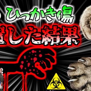 【2019年】「痛っ！」猫の引っかき傷から細菌が侵入 皮膚組織が溶け落ちる「壊〇性筋膜炎」で生死の境を境をさまよった女性【ゆっくり解説】