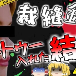 【2022年】「安上がりだし自分でやっちゃおう」→縫い針でタトゥーを入れた女性 感染症で目が見えなくなるほど顔が腫れ…【ゆっくり解説】