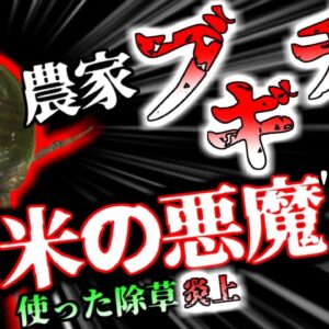 【2023年『スクミリンゴガイ』（ジャンボタニシ）農法炎上騒動 侵入されたら駆逐することはほぼ不可能　見つけても絶対に触ってはいけない猛毒卵を持つ”南米の悪魔”【ゆっくり解説】