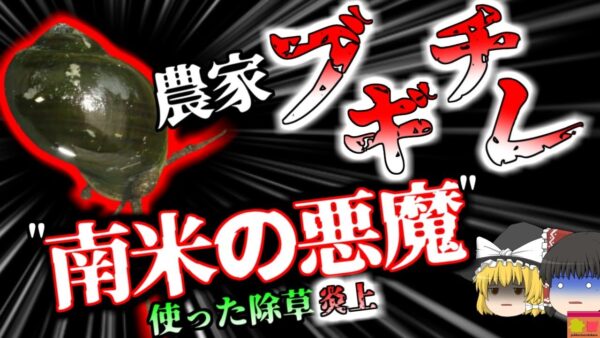 【2023年『スクミリンゴガイ』（ジャンボタニシ）農法炎上騒動 侵入されたら駆逐することはほぼ不可能　見つけても絶対に触ってはいけない猛毒卵を持つ”南米の悪魔”【ゆっくり解説】