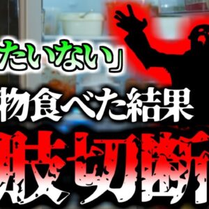 【2023年】「もったいない」友人の食べ残しを食べ身体を切断　組織が壊死する恐ろしい感染症『電撃性紫斑病』　【ゆっくり解説】