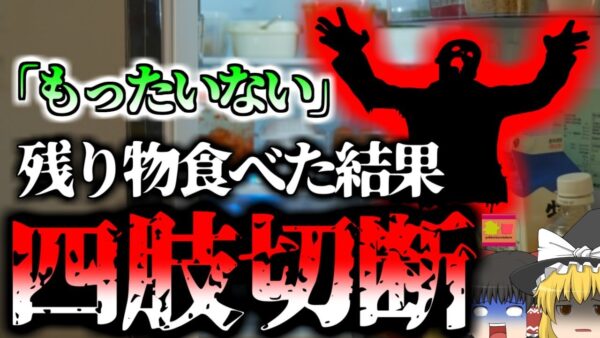 【2023年】「もったいない」友人の食べ残しを食べ身体を切断　組織が壊死する恐ろしい感染症『電撃性紫斑病』　【ゆっくり解説】