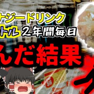 【2023年】”人間が感じる最大の痛み”「飲むのがクールだと思っていた」700日以上毎日2リットルのエナジードリンクを飲んだ結果 激痛に襲われ緊急搬送　過剰摂取のリスク【ゆっくり解説】