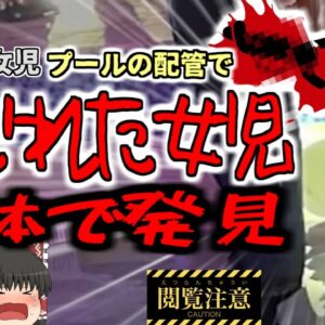 【2024年】リゾートプールで突然消えた女児 誘拐事件として捜索中、配管の中で体がねじ曲がった状態で発見される…『ダブルツリーホテル溺〇事故』【ゆっくり解説】