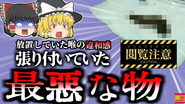 【2024年】「のどに何かいる!!」 喉奥に一か月以上6cmのヒルが張り付いていた男性 何故気が付かなかった？【ゆっくり解説】