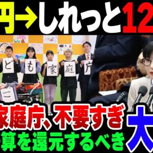 こども家庭庁、300円負担の話がいつの間にか1250円負担になって炎上【ゆっくり解説】