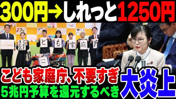 こども家庭庁、300円負担の話がいつの間にか1250円負担になって炎上【ゆっくり解説】