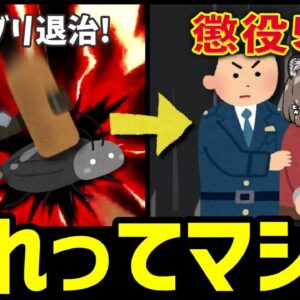 【疑問】希少ゴキブリ殺せば「懲役5年」←そんなことありえる？
