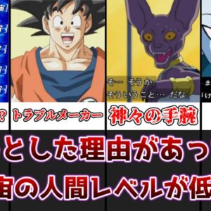 【ゆっくり解説】ちゃんとした理由があった！？ 人間レベルと第7宇宙の人間レベルが低い理由を解説、考察【ドラゴンボール】