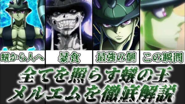 【ゆっくり解説】蟻から人へと変わっていった全てを照らす蟻の王 メルエムを徹底解説【HUNTER×HUNTER】