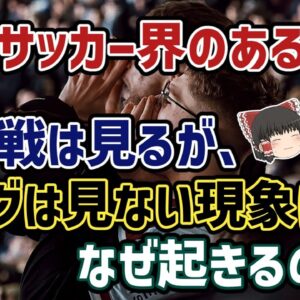 【ゆっくり解説】なぜ、日本代表ファンはJリーグファンにならない？代表戦は見て、Jリーグは見ない現象を語る【サッカー】