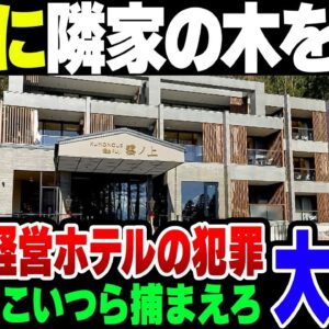 中国人が経営するホテル『雲ノ上富士ホテル』、自分たちの景観のためだけに隣人の木を勝手に伐採＆除草剤散布【ゆっくり解説】