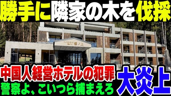 中国人が経営するホテル『雲ノ上富士ホテル』、自分たちの景観のためだけに隣人の木を勝手に伐採＆除草剤散布【ゆっくり解説】