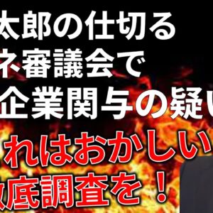 【ゆっくり解説】再エネ審議会で中国企業の関与疑惑浮上＆玉木雄一郎らがそれを追及している件