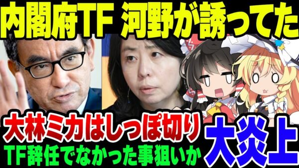 中国透かし再エネ内閣府タスクフォース、元凶は河野太郎と確定！大林ミカを直接引き入れていた模様【ゆっくり解説】