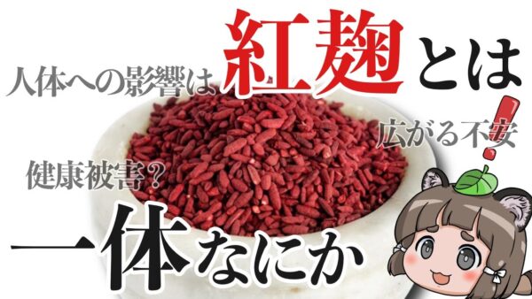 【徹底解説】紅麹菌とは一体何なのか？健康被害問題と身を守るために出来ること