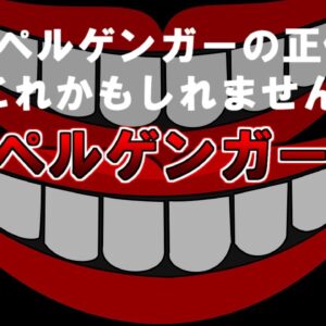 【ゆっくり解説】あなたに似ている人がいたら逃げてください『ドッペルゲンガー事件』