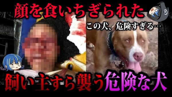 【ゆっくり解説】残酷すぎて閲覧注意。動物が人間を○した事件５選