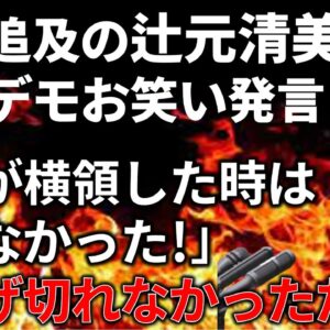 【政治まとめ】辻元清美の質疑がアホすぎる件＆立憲民主党ら野党の自民追及が酷い件