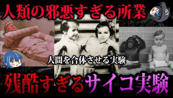 【ゆっくり解説】残酷すぎて閲覧注意。本当にあったサイコすぎる実験５選