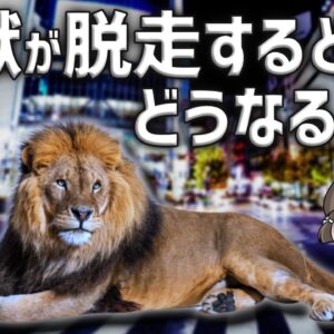 【逃亡】動物園から猛獣が逃げたらどうなる？｜脱走防止策の重要性とは