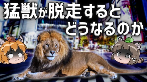 【逃亡】動物園から猛獣が逃げたらどうなる？｜脱走防止策の重要性とは