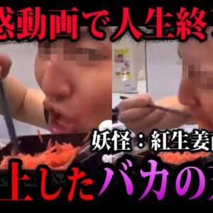 【ゆっくり解説】バカすぎて人生終了。迷惑動画で大炎上した奴ら５選