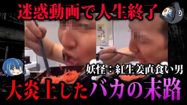 【ゆっくり解説】バカすぎて人生終了。迷惑動画で大炎上した奴ら５選