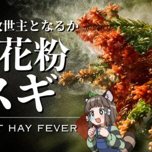 【待望】人類の救世主！無花粉スギは花粉症の患者を救うのか？