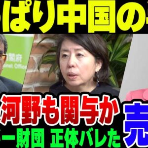 内閣府再エネすかしの人、経歴がアレ過ぎたうえに所属している日本エネルギー財団が完全に中国の手先であることが判明する【ゆっくり解説】
